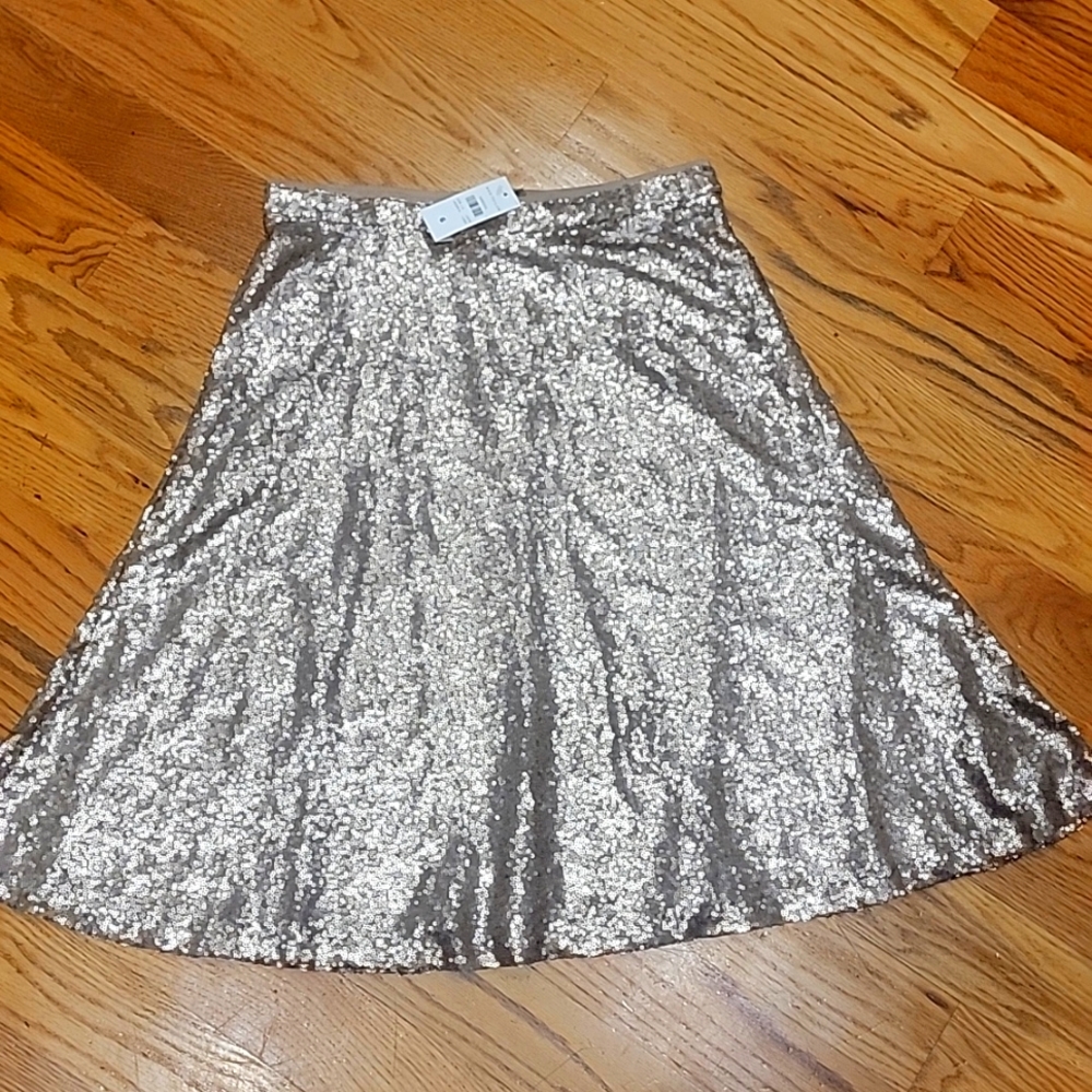 Ann Taylor sequin skirt